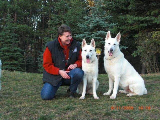 Meine zwei Wei�en Sch�ferhunde Hope und Assi