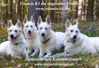 Vitamin K1, ein vergessenes Vitamin