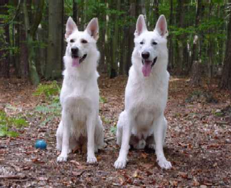 Cessy und Assi