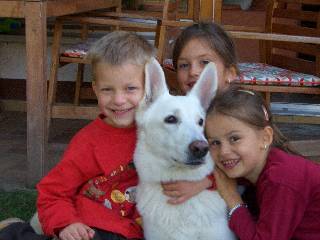 Wei�er Sch�ferhund Cake