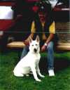 Beja-Xena mit Herrchen