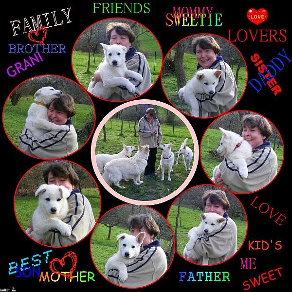 Wei�er Sch�ferhund - Z�chter - Zucht - Schweizer Wei�er Sch�ferhunde -Welpen vom Kaisersbrunnen