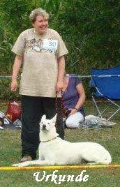 Weier Schferhund 