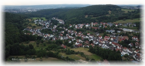 zu Hause von den Wei�e Sch�ferhunde in Aschaffenburg - Gailbach