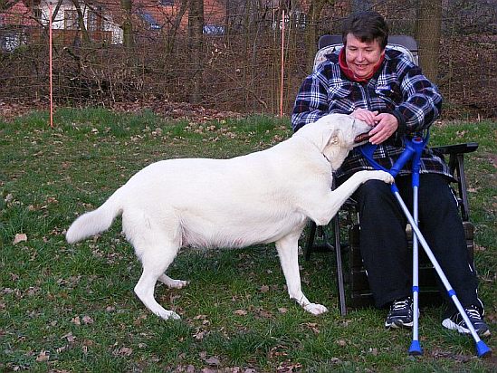 Weier Schferhund Krankheiten Weie Schferhunde