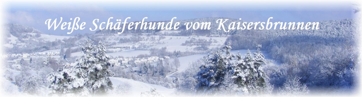 Wei�e Sch�ferhunde - Zucht - Aschaffenburg - Bayern