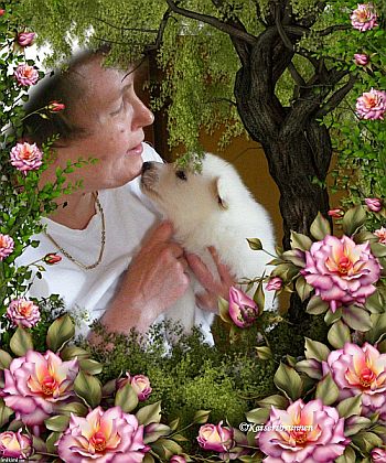 Z�chter - Wei�e Sch�ferhunde - Zucht - Wei�er Schweizer Sch�ferhund